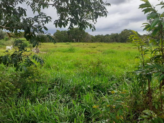 Imagem Fazenda à Venda, em zona rural - Salvaterra Imagem Fazenda à Venda, em zona rural - Salvaterra