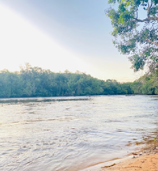 Fazenda à Venda, 3 HAem ZONA RURAL - Pindorama do Tocantins