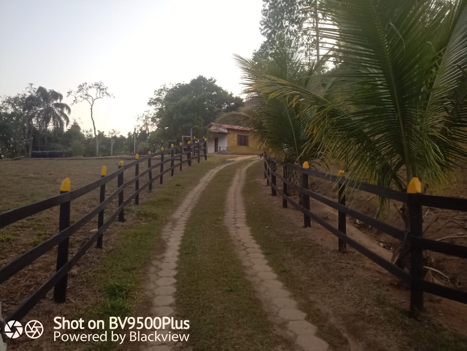Imagem Chácara com 2 Quartos à Venda, 72.000 m² em - Rio Pomba Imagem Chácara com 2 Quartos à Venda, 72.000 m² em - Rio Pomba