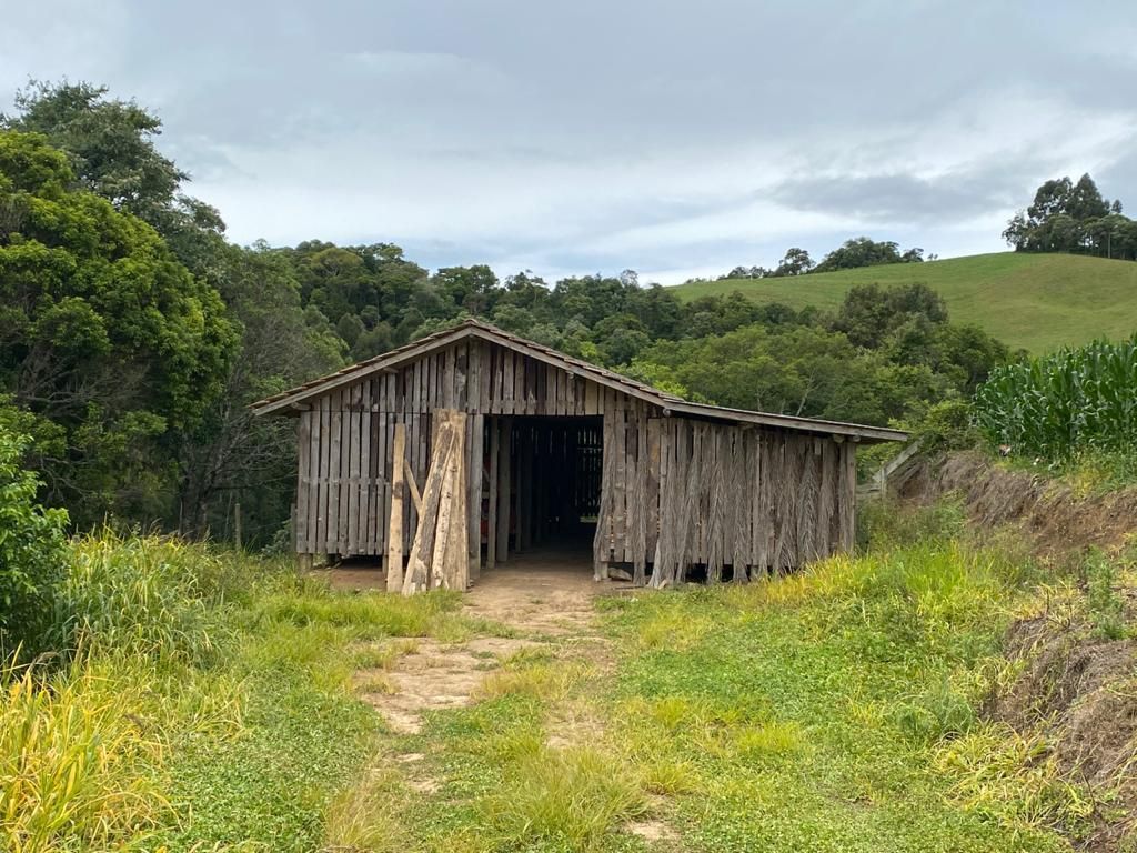 Imagem Chácara com 3 Quartos à Venda, 98 m²em Demoras - Alfredo Wagner