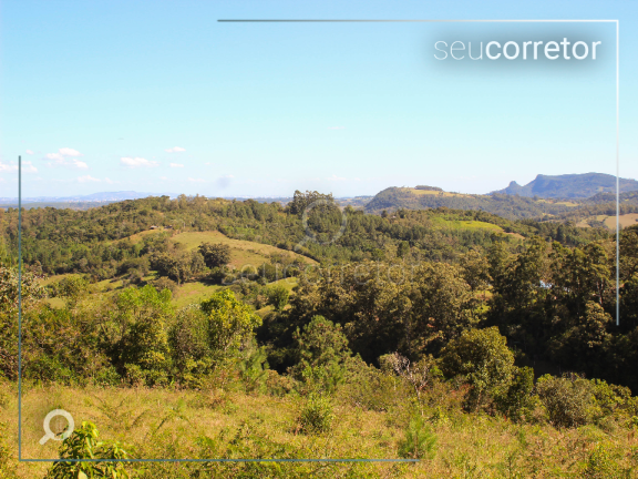 Imagem Chácara com 4 Quartos à Venda, 50.000 m² em Zona Rural - taquara Imagem Chácara com 4 Quartos à Venda, 50.000 m² em Zona Rural - taquara
