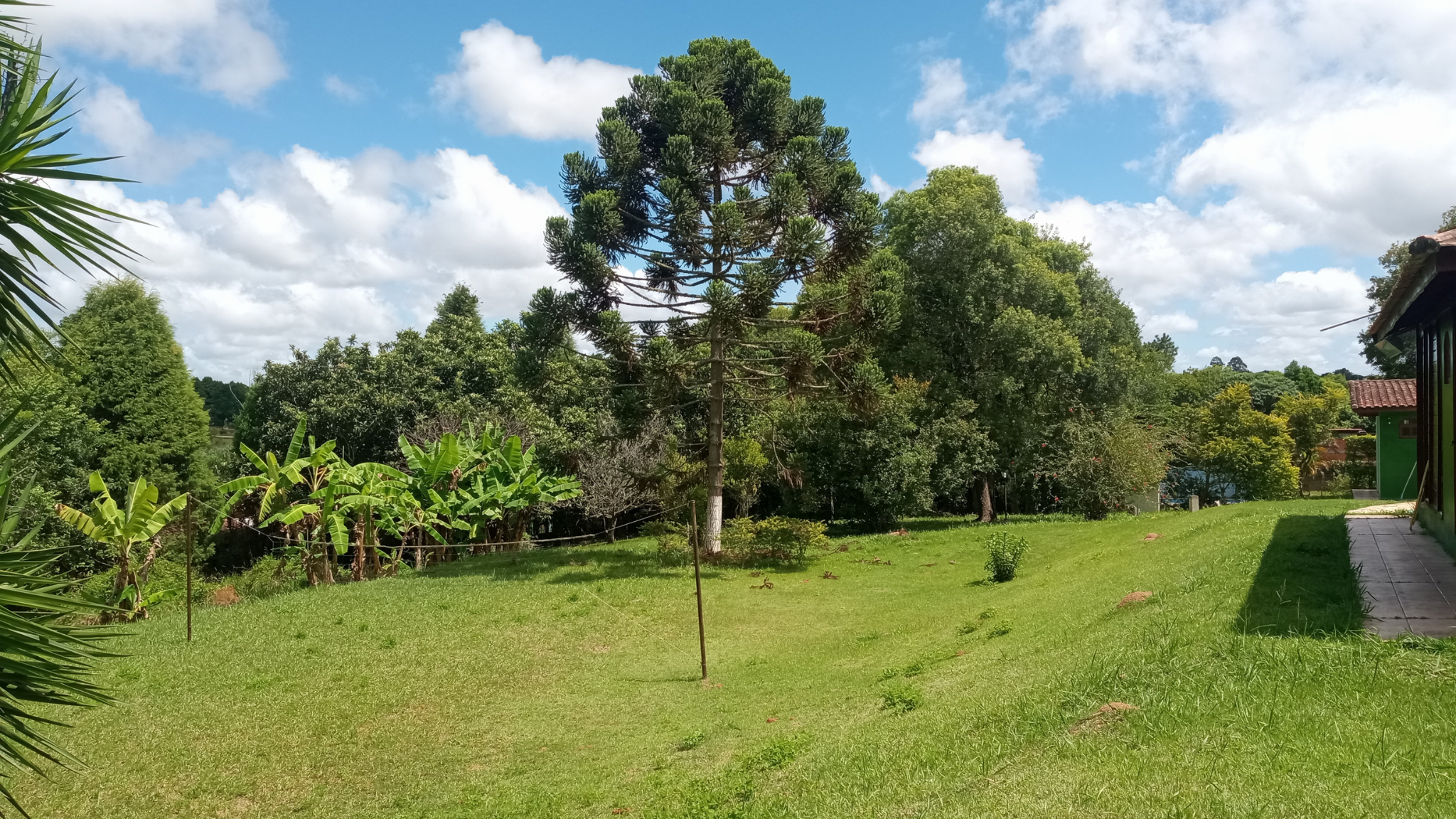 Imagem Chácara com 3 Quartos à Venda ou Temporada, 3.500 m² em Lajeadinho - Ibiúna Imagem Chácara com 3 Quartos à Venda ou Temporada, 3.500 m² em Lajeadinho - Ibiúna