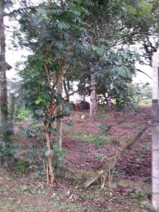 Imagem Terreno à Venda, 1.000 m² em Parque Rincão - Cotia