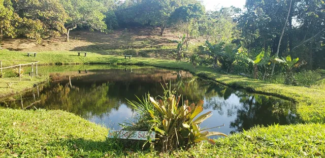Imagem Chácara com 2 Quartos à Venda, 15 m²em BONITO - Bonito Imagem Chácara com 2 Quartos à Venda, 15 m²em BONITO - Bonito