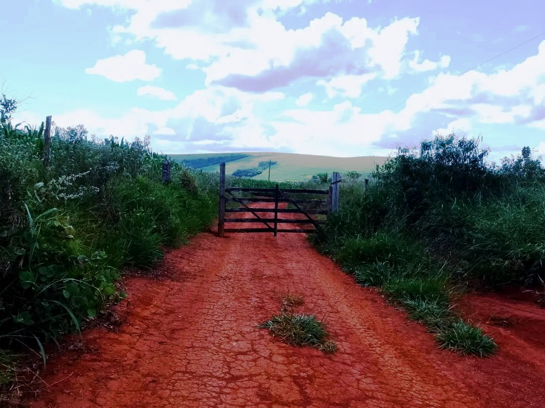 Imagem Fazenda à Venda, 113 Alq SPem Zona Rural - Guapé Imagem Fazenda à Venda, 113 Alq SPem Zona Rural - Guapé