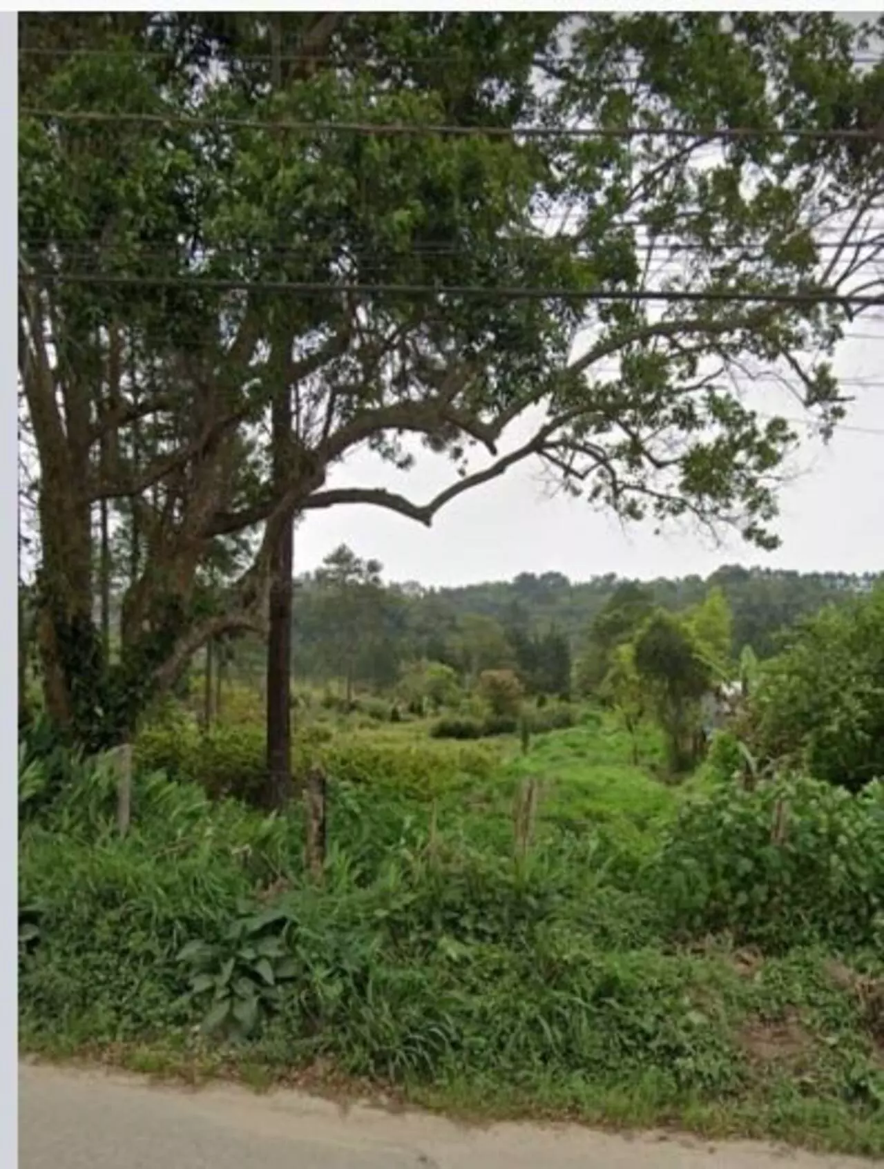 Imagem Terreno à Venda, 54 m²em Jardim Campestre - Embu-Guaçu