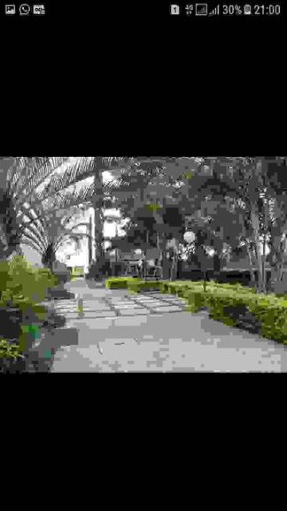 Imagem Apartamento com 2 Quartos à Venda, 49 m² em Parque Itália - Campinas Imagem Apartamento com 2 Quartos à Venda, 49 m² em Parque Itália - Campinas