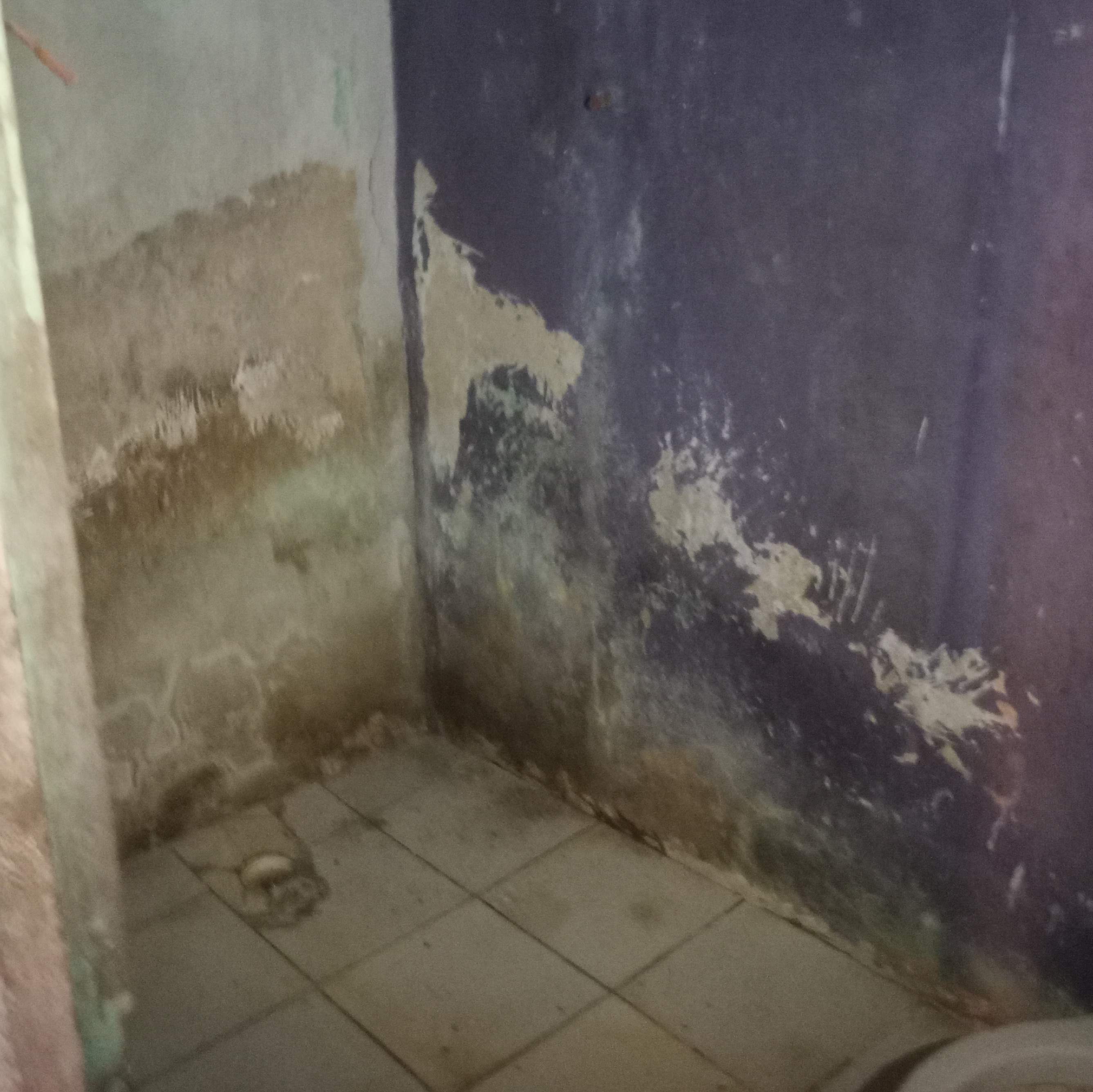 Imagem Casa com 1 Quarto à Venda, 40 m²em Itinga - Lauro de Freitas