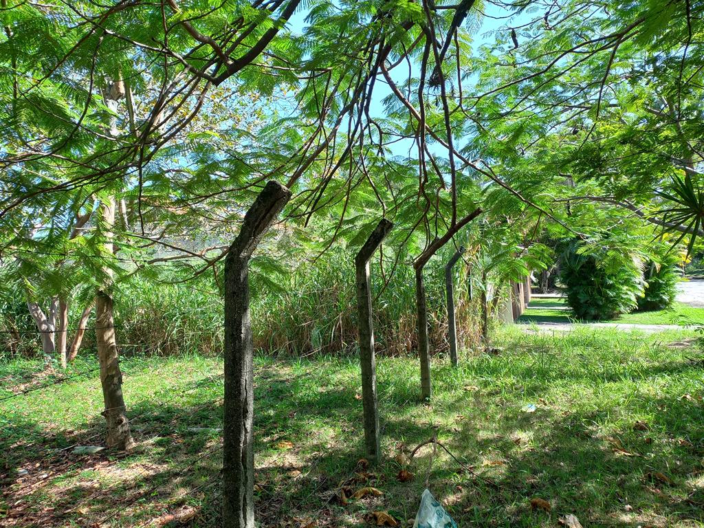 Imagem Terreno à Venda, 357 m²em Itaipu - Niterói