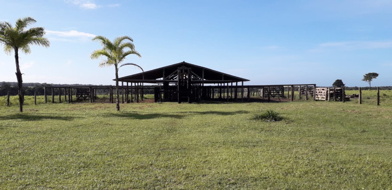 Imagem Fazenda à Venda, 455 HA em zona Rural - Santarém Novo Imagem Fazenda à Venda, 455 HA em zona Rural - Santarém Novo