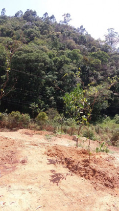Imagem Terreno à Venda, 500 m² em Vila Cristo Redentor - Várzea Paulista
