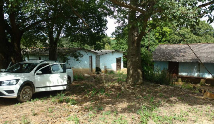 Imagem Fazenda à Venda, 8 Alq GOem Zona Rural - Silvânia