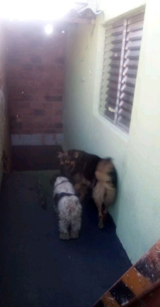 Casa com 5 Quartos à Venda, 170 m² em Fazenda da Juta - São Paulo