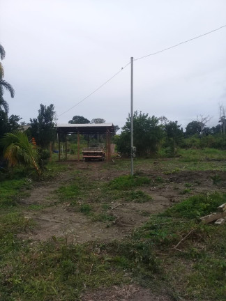 Imagem Fazenda à Venda, 837 HA em Área Rural de Santarém - Santarém Imagem Fazenda à Venda, 837 HA em Área Rural de Santarém - Santarém