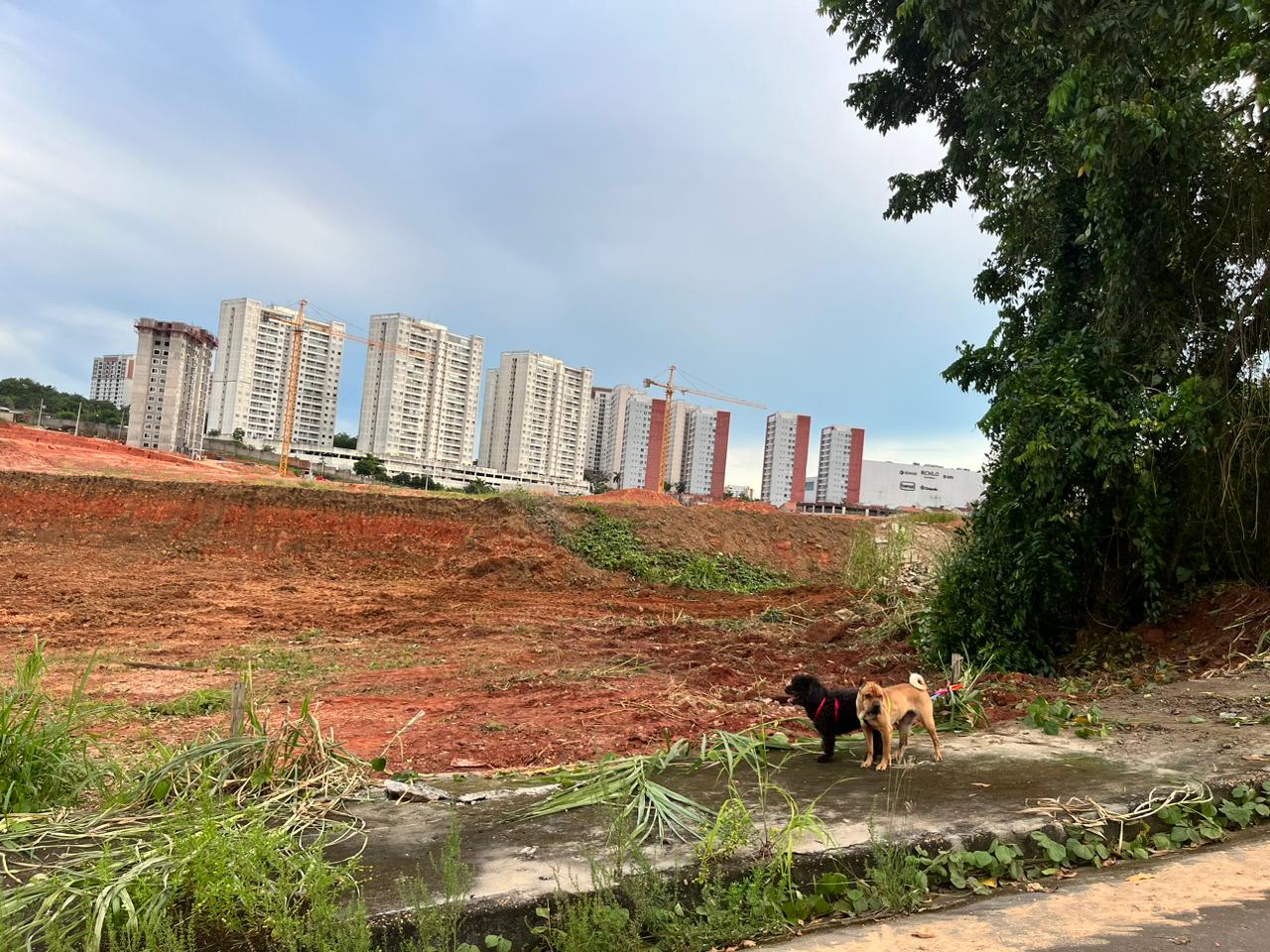Imagem Terreno à Venda, 312 m²em Ponta Negra - Manaus Imagem Terreno à Venda, 312 m²em Ponta Negra - Manaus