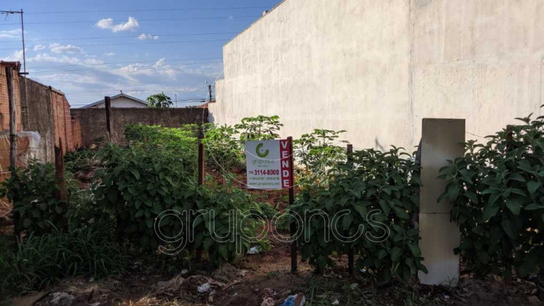 Imagem Terreno à Venda, 163 m² em Parque São Paulo (vila Xavier) - Araraquara Imagem Terreno à Venda, 163 m² em Parque São Paulo (vila Xavier) - Araraquara