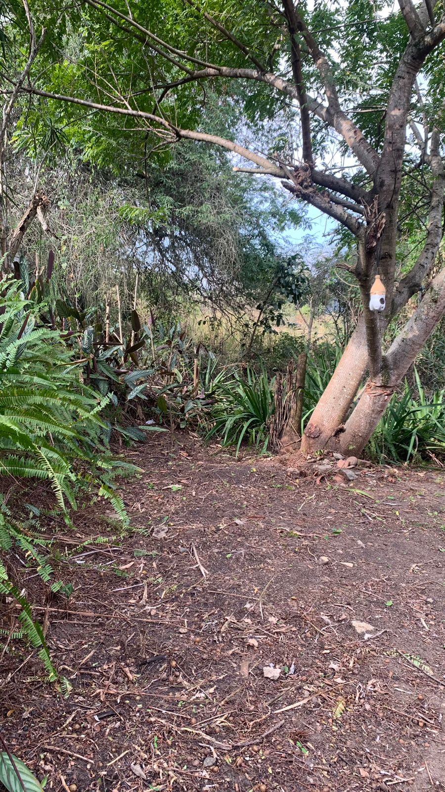 Imagem Terreno à Venda, 17.850 m² em Realengo - Rio de Janeiro
