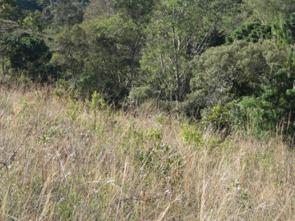 Imagem Terreno à Venda, 1.380 m² em Descansopolis - Campos do Jordão