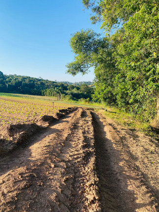 Imagem Terreno em Condomínio à Venda, 1.000 m² em Verava - Ibiúna Imagem Terreno em Condomínio à Venda, 1.000 m² em Verava - Ibiúna