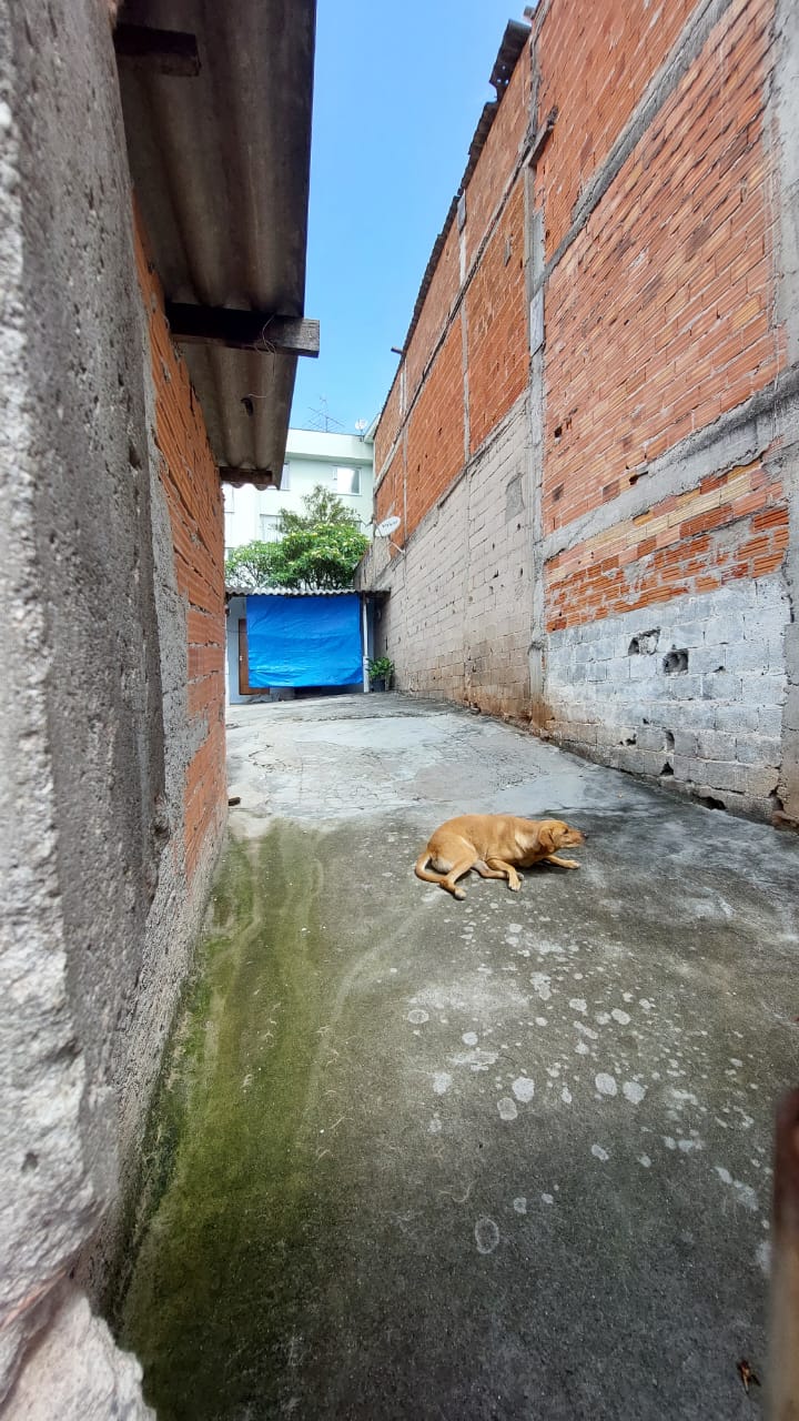 Imagem Casa com 1 Quarto à Venda, 36 m²em Vila Clara - São Paulo