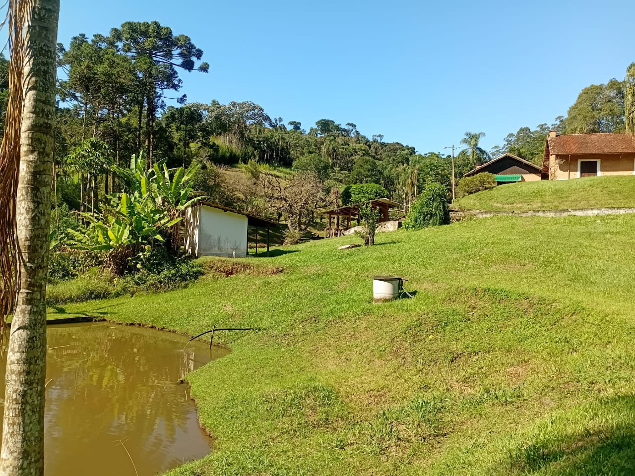 Imagem Chácara com 3 Quartos à Venda, 295 m² em  - 