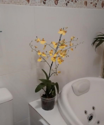 Imagem Apartamento com 1 Quarto à Venda, 40 m² em República - São Paulo Imagem Apartamento com 1 Quarto à Venda, 40 m² em República - São Paulo