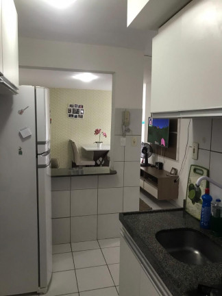 Imagem Apartamento com 2 Quartos à Venda, 54 m² em Solar dos Lusitanos - São Luís Imagem Apartamento com 2 Quartos à Venda, 54 m² em Solar dos Lusitanos - São Luís