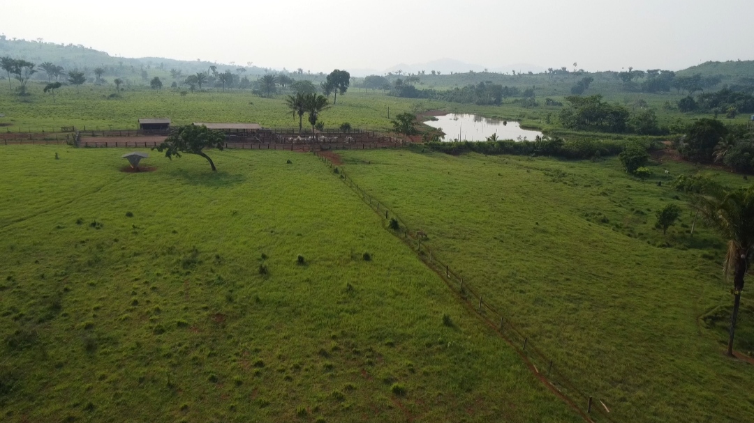 Imagem Fazenda à Venda, 1 m²em Centro - São Félix do Xingu Imagem Fazenda à Venda, 1 m²em Centro - São Félix do Xingu