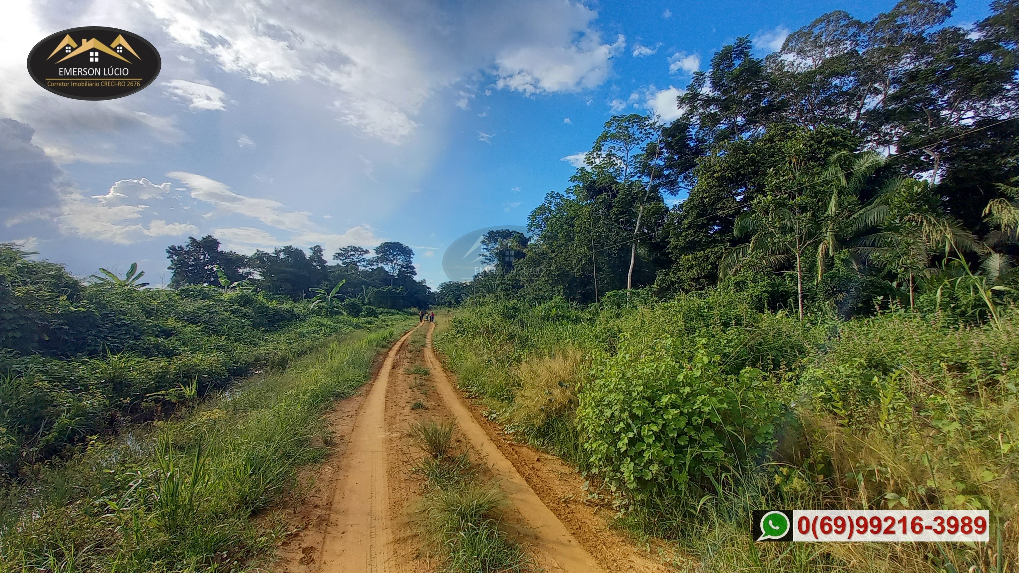 Imagem Fazenda à Venda, 50 HAem Rio Madeira - Porto Velho Imagem Fazenda à Venda, 50 HAem Rio Madeira - Porto Velho