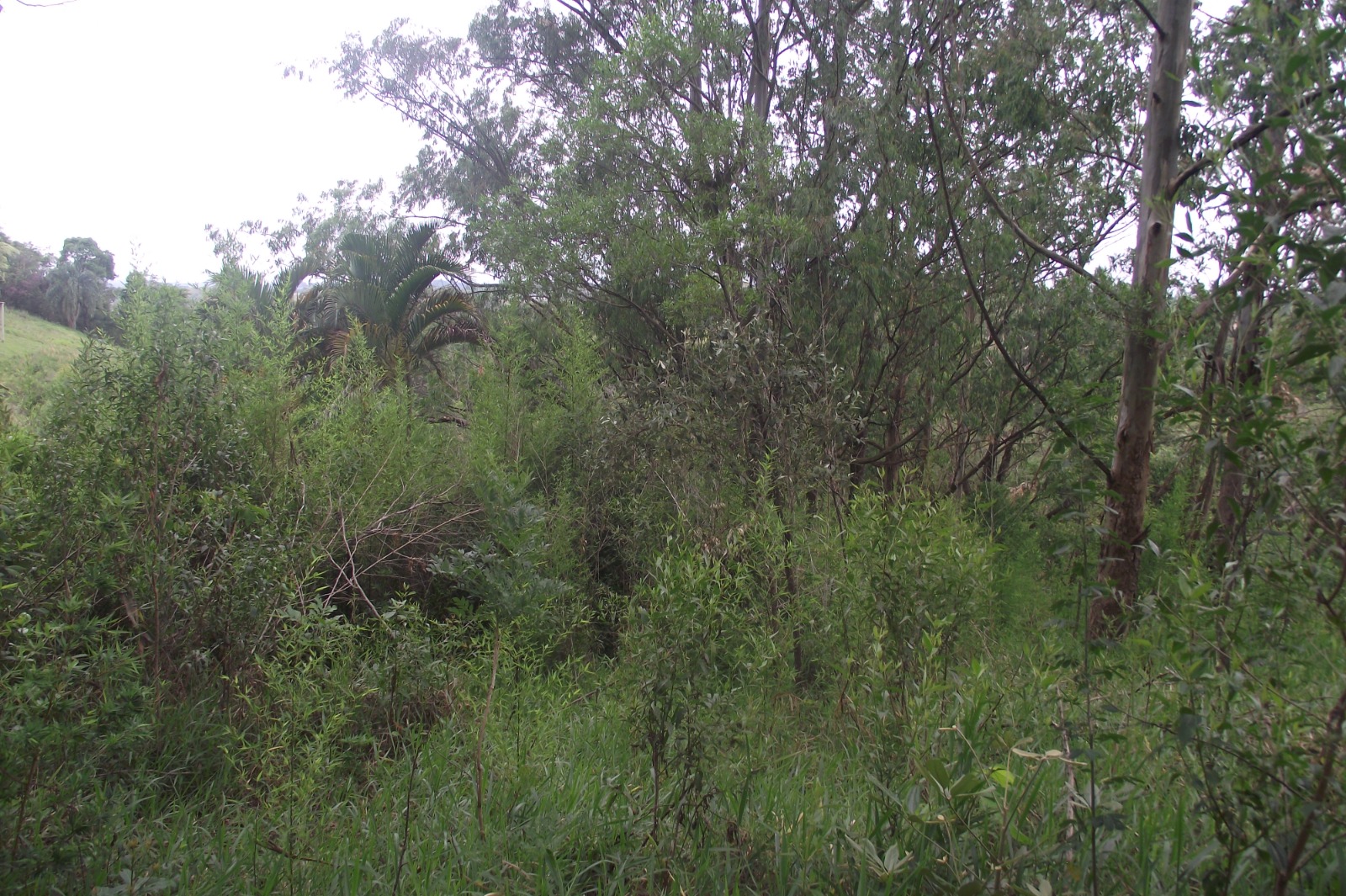Imagem Terreno à Venda, 24.452 m² em Apotribu de Cima - Itu Imagem Terreno à Venda, 24.452 m² em Apotribu de Cima - Itu