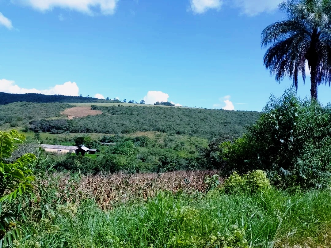 Imagem Fazenda à Venda, 113 Alq SPem Zona Rural - Guapé Imagem Fazenda à Venda, 113 Alq SPem Zona Rural - Guapé