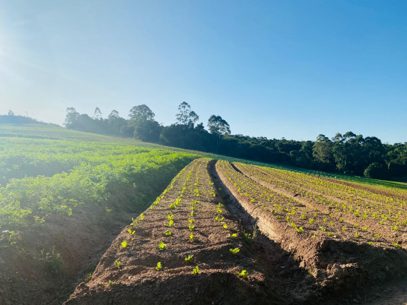 Imagem Terreno à Venda, 500 m² em Verava - Ibiúna
