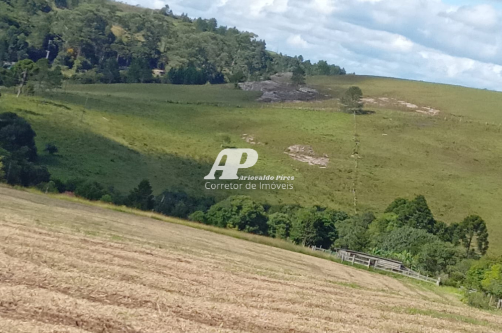 Imagem Chácara com 3 Quartos à Venda, 68 m²em San Martin - Ponta Grossa