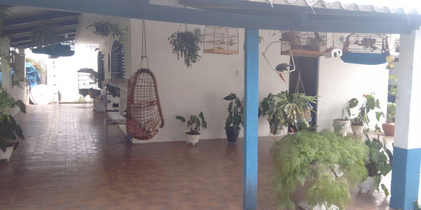 Imagem Chácara com 3 Quartos à Venda, em Centro Sede - Santa Isabel Imagem Chácara com 3 Quartos à Venda, em Centro Sede - Santa Isabel