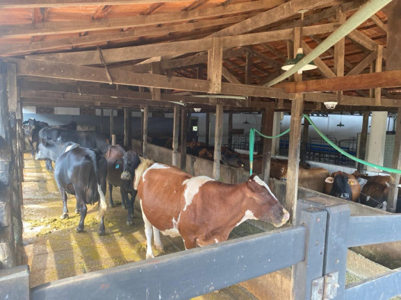 Imagem Chácara com 7 Quartos à Venda, 58.000 m² em Olhos D'água - Alexânia - GO - Alexânia Imagem Chácara com 7 Quartos à Venda, 58.000 m² em Olhos D'água - Alexânia - GO - Alexânia