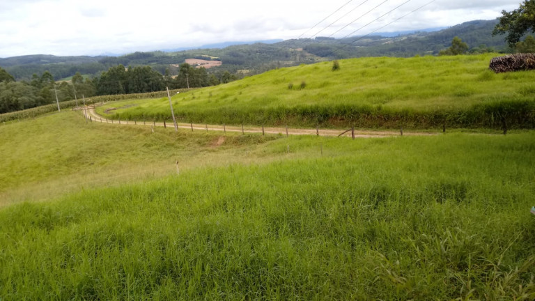 Imagem Terreno à Venda,  em Barracão - Orleans