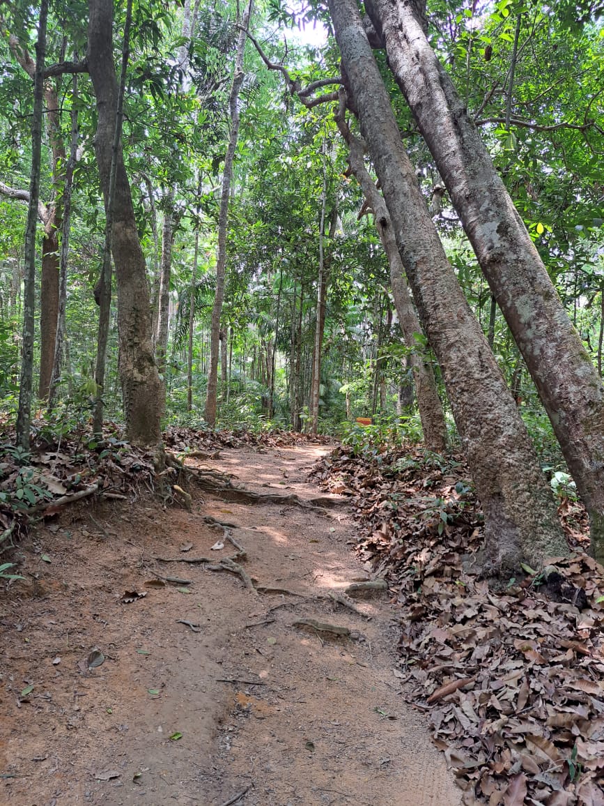 Imagem Terreno à Venda, 250 m²em Vigia - Santarém Imagem Terreno à Venda, 250 m²em Vigia - Santarém