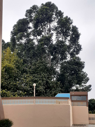 Apartamento com 2 Quartos à Venda, 60 m² em Macedo - Guarulhos