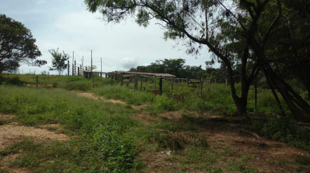 Imagem Fazenda à Venda, 8 Alq GOem Zona Rural - Silvânia