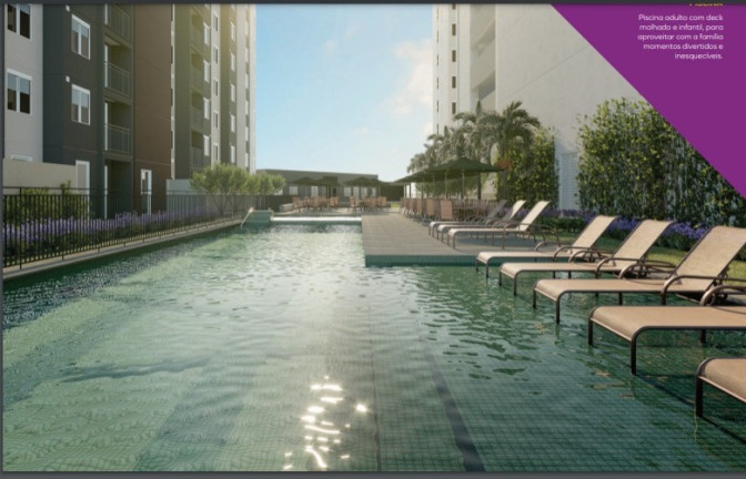 Imagem Apartamento com 2 Quartos à Venda, 41 m² em Vila Moreira - São Paulo
