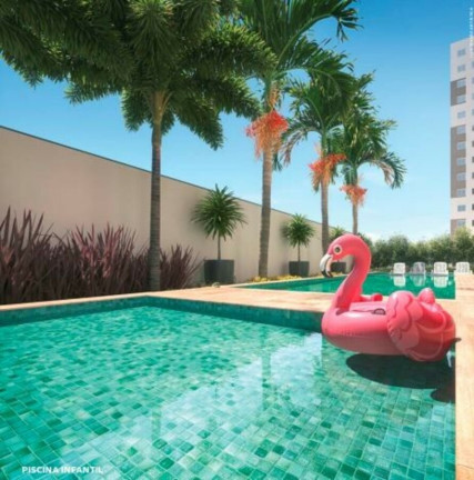 Imagem Apartamento com 2 Quartos à Venda, 45 m² em São Francisco Xavier - Rio de Janeiro
