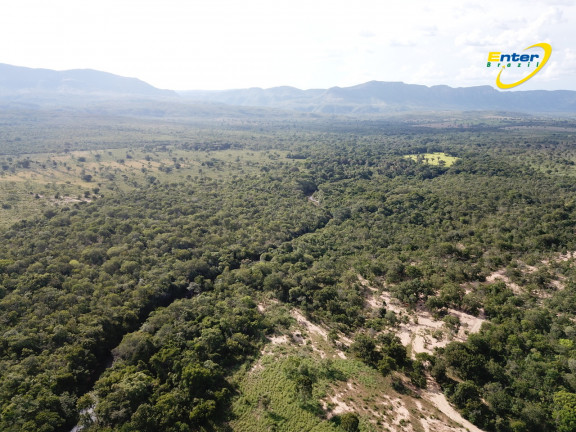 Imagem Fazenda à Venda, 681.000 m² em rural - São João D'Aliança