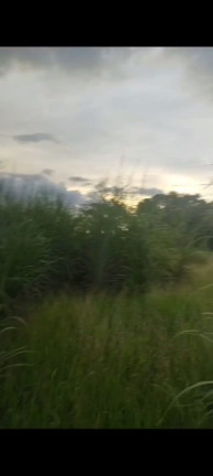 Imagem Terreno à Venda, 20.000 m² em Chácaras Brasil B - Valparaíso de Goiás