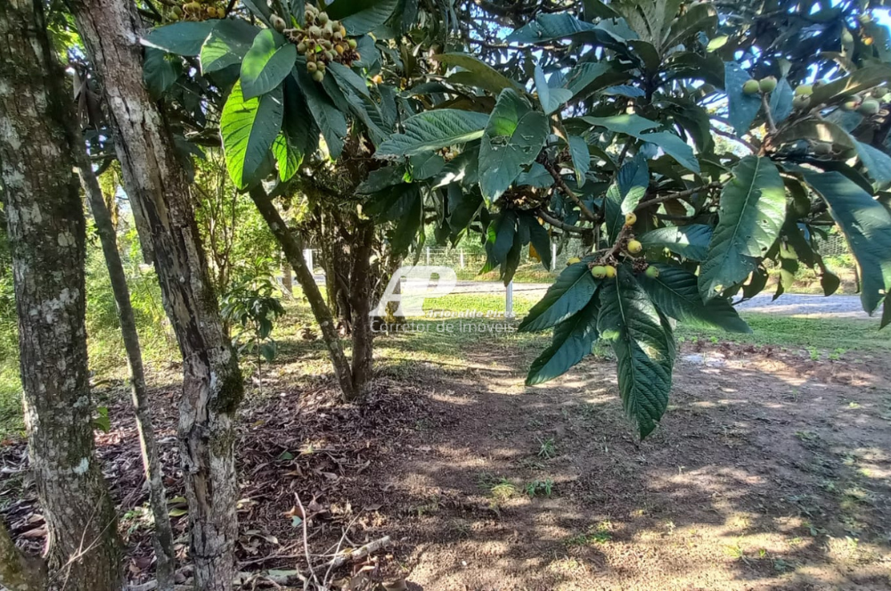 Imagem Chácara com 7 Quartos à Venda ou Temporada, 6 m²em Guarauna - Teixeira Soares