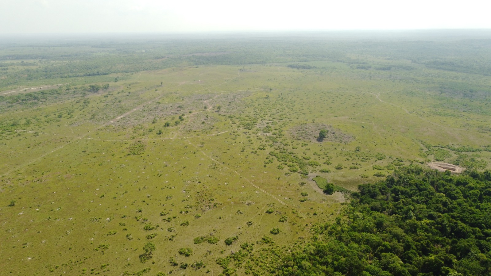 Imagem Fazenda à Venda, 523.000 HA em Mata Geral - Redenção