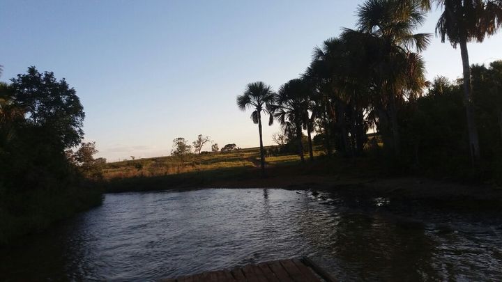 Imagem Fazenda à Venda, 1.864 m² em área Rural De Três Lagoas - Três Lagoas Imagem Fazenda à Venda, 1.864 m² em área Rural De Três Lagoas - Três Lagoas