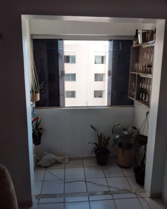 Imagem Apartamento com 2 Quartos para Alugar, 56 m² em Angelim - São Luís Imagem Apartamento com 2 Quartos para Alugar, 56 m² em Angelim - São Luís