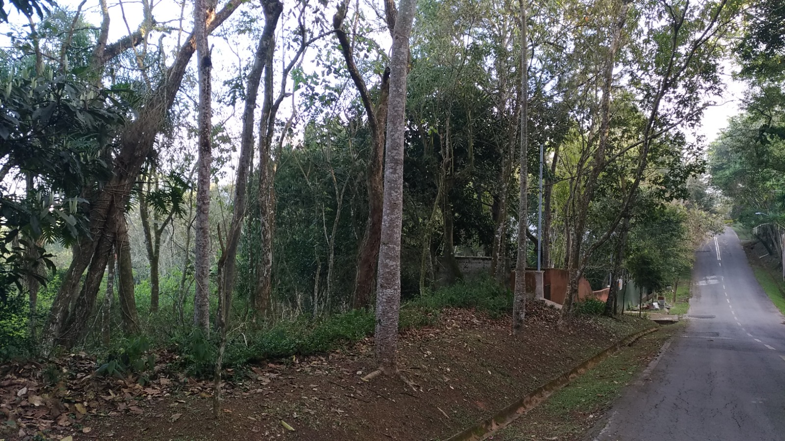 Imagem Terreno à Venda, 1 m²em Chácara Represinha - Cotia