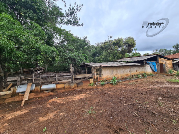 Imagem Fazenda à Venda, 24 HA em brazlandia - Brasília