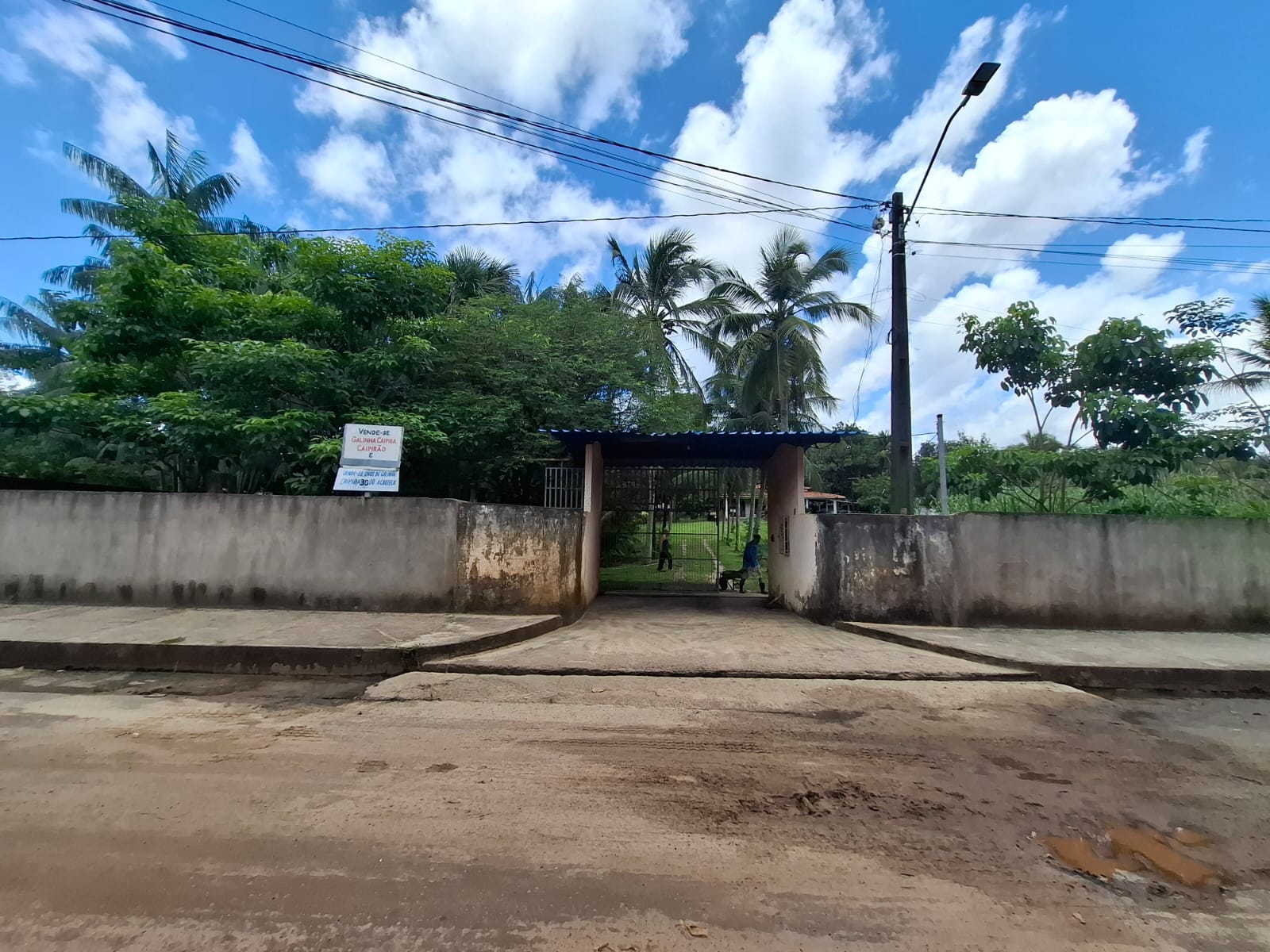 Imagem Chácara com 3 Quartos à Venda, 280 m² em Coqueiro - São Luís